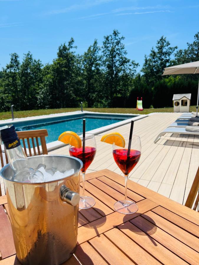 Vila Prisunca Jacuzzi & Swimming Pool Пазин Экстерьер фото